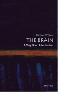 Brain (inbunden)