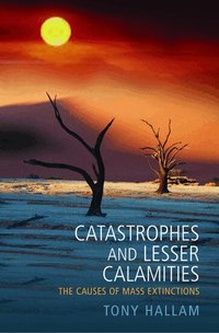 Catastrophes and Lesser Calamities