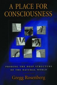 A Place for Consciousness (inbunden)