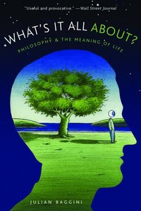 What's It All About?: Philosophy and the Meaning of Life (h�ftad)