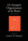 Synaptic Organization of the Brain