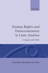 Human Rights and Democratization in Latin America