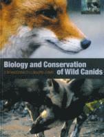 The Biology and Conservation of Wild Canids (h�ftad)