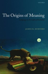 The Origins of Meaning (inbunden)