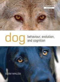 Dog Behaviour, Evolution, and Cognition (inbunden)