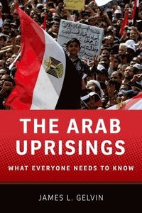 The Arab Uprisings (h�ftad)