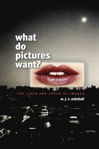 What Do Pictures Want? (h�ftad)