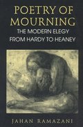 Poetry of Mourning  The Modern Elegy from Hardy to Heaney