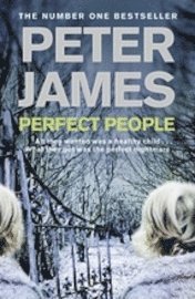 Perfect People (h�ftad)