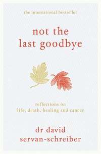 Not the Last Goodbye (inbunden)