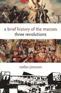 A Brief History of the Masses (h�ftad)