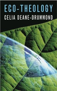 Eco-theology (h�ftad)