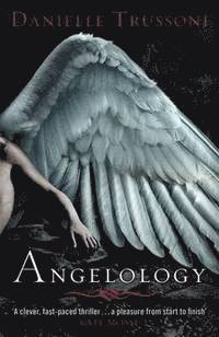 Angelology (kartonnage)