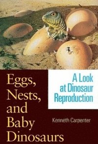 Eggs, Nests and Baby Dinosaurs (inbunden)