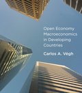 Open Economy Macroeconomics in Developing Countries