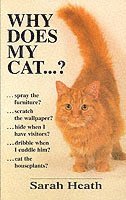 Why Does My Cat...? (inbunden)
