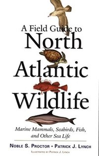 A Field Guide to North Atlantic Wildlife (h�ftad)