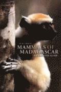 Mammals of Madagascar: A Complete Guide (inbunden)
