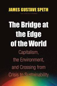 The Bridge at the Edge of the World (h�ftad)