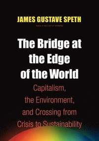 The Bridge at the End of the World (h�ftad)