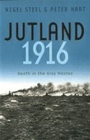 Jutland, 1916 (h�ftad)