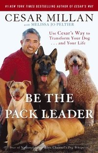 Be the Pack Leader: Use Cesar's Way to Transform Your Dog... and Your Life (h�ftad)