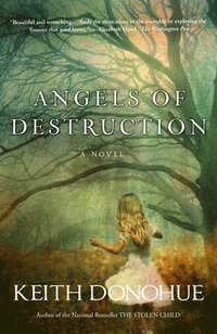 Angels of Destruction (inbunden)