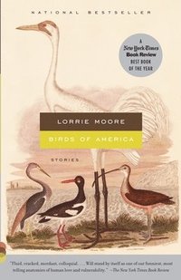 Birds of America: Stories (inbunden)