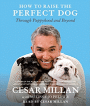 How to Raise the Perfect Dog (ljudbok)