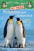 Penguins and Antarctica