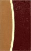 Amplified Bible, Compact (inbunden)