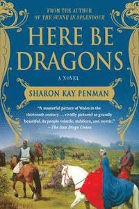 Here Be Dragons (h�ftad)
