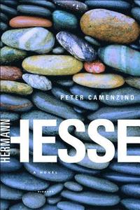 Peter Camenzind (h�ftad)