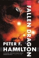 Fallen Dragon (h�ftad)