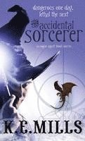 The Accidental Sorcerer (pocket)