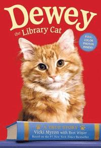 Dewey the Library Cat: A True Story (inbunden)