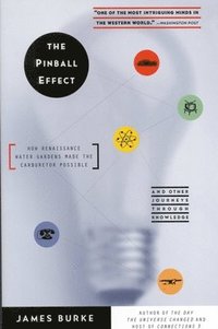 Pinball Effect (h�ftad)