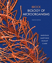 Brock Biology of Microorganisms Value Pack (Includes Current Issues in Microbiology, Volume 2 & Current Issues in Microbiology, Volume 1)