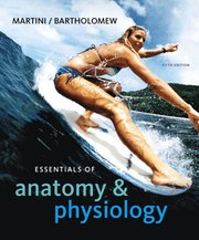 Essentials of Anatomy & Physiology with Interactive Physiology 10-System Suite