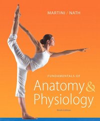 Fundamentals of Anatomy & Physiology