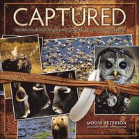 Captured: Behind the Lens of a Legendary Wildlife Photographer (h�ftad)