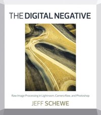 The Digital Negative: Raw Image Processing In Lightroom, Camera Raw, And Photoshop