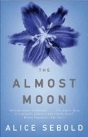 The Almost Moon (h�ftad)