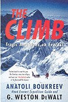 The Climb (h�ftad)