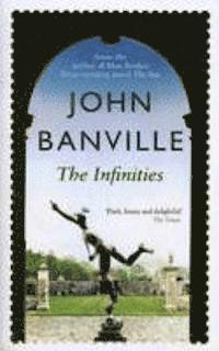 Infinites (inbunden)