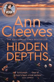 Hidden Depths (e-bok)