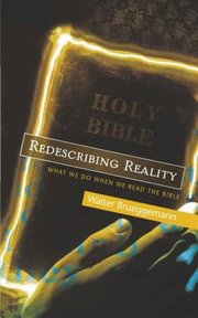 Redescribing Reality (h�ftad)