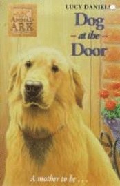 Dog At The Door (kartonnage)