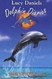 Into the Blue (kartonnage)