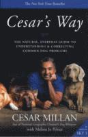 Cesar's Way (h�ftad)
